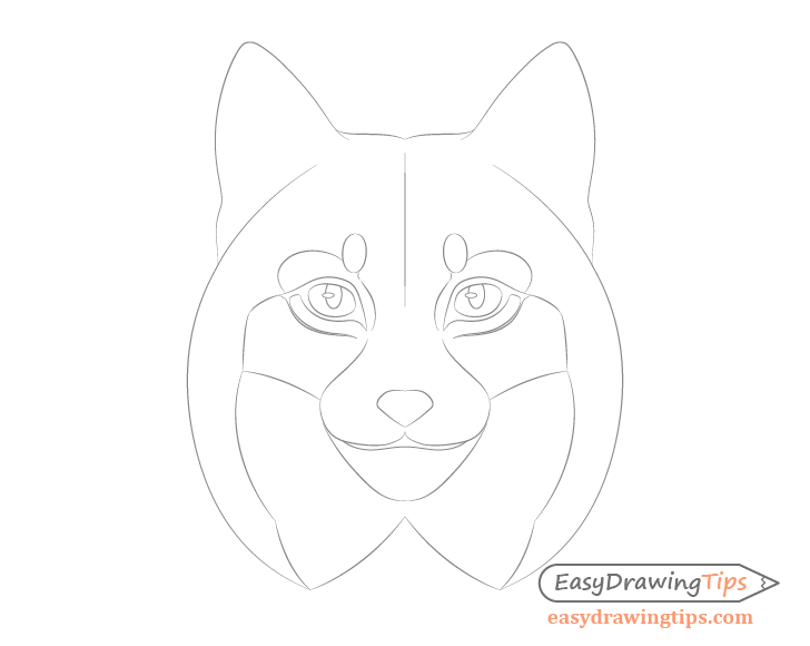 Lynx around eyes details drawing