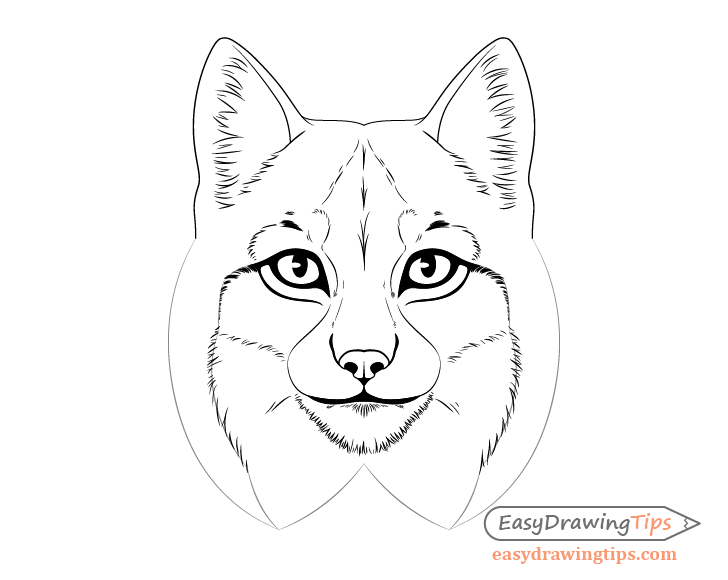Lynx fur pattern drawing