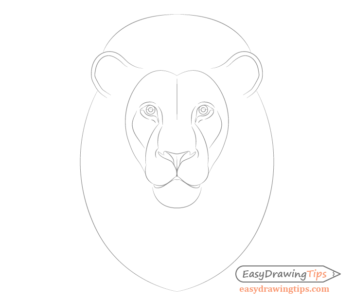 Detailed drawing of a lion's face