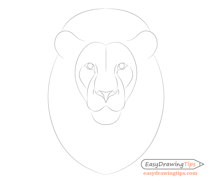 Lion face drawing