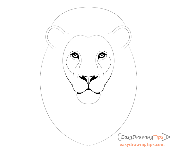 Detailed drawing on the lion's face