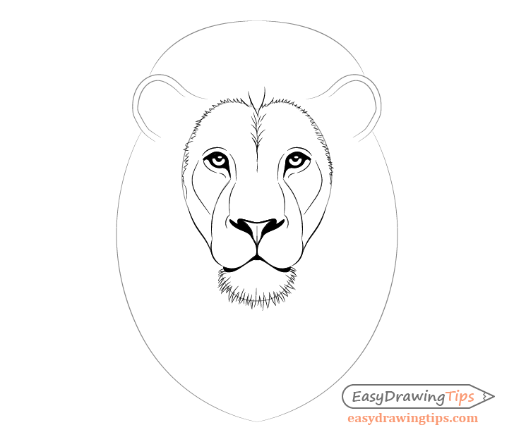 Drawing of a lion's inner mane and chin feathers