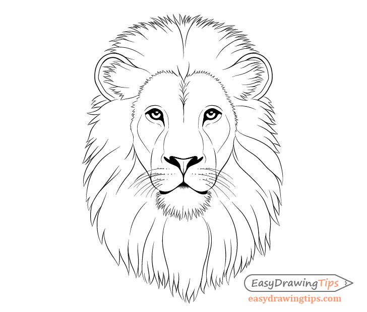 Draw a lion face