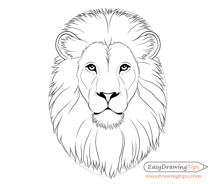 Draw a lion's mane