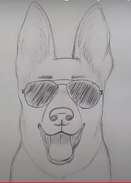 Draw a German Shepherd Dog face easily with sunglasses