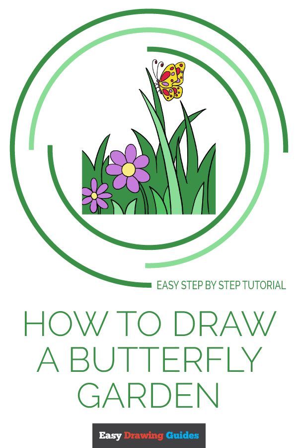 Draw butterfly garden easily