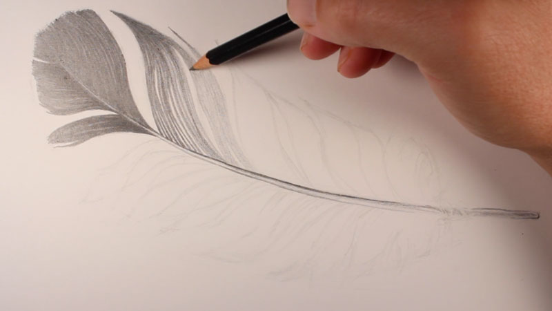 Use directional strokes to create texture