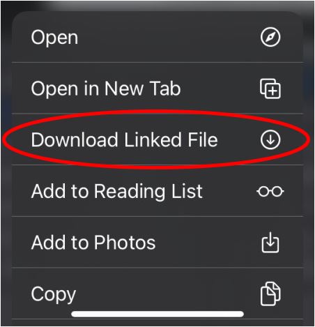 Download files in Safari on iPhone