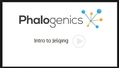 phalogenics videos
