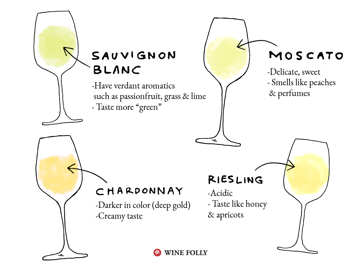 blind tasting white wine sauvignon blanc moscato chardonnay riesling