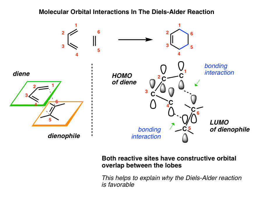 Molecular orbital interactions in diels alder reaction show homogeneity of butadiene and lumo of dienophile orbital symmetry