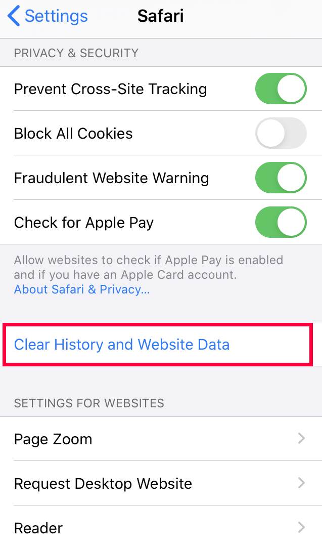 Clear History and Website Data from iPhone Safari