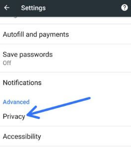 Tap privacy in advanced settings in Pixel