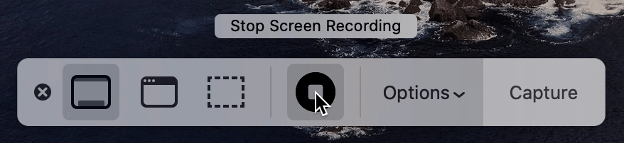 get the window showing the Stop Screen Recording button