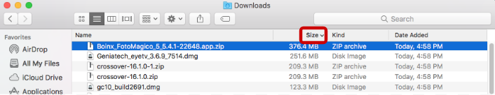 sort files in download folder by size