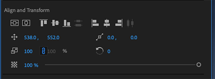 Video Editing 101: How to Add Titles and Subtitles in Premiere Pro - Align and Transform