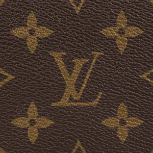 Louis Vuitton Monogram Canvas LV How to Clean and Care For