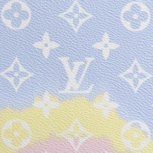 Louis Vuitton Printed Limited Edition Pastel Canvas How to care for
