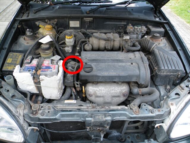 Locate the EGR . valve