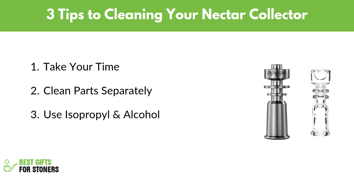 3 tips to clean your nectar collector