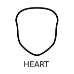 Heart face shape