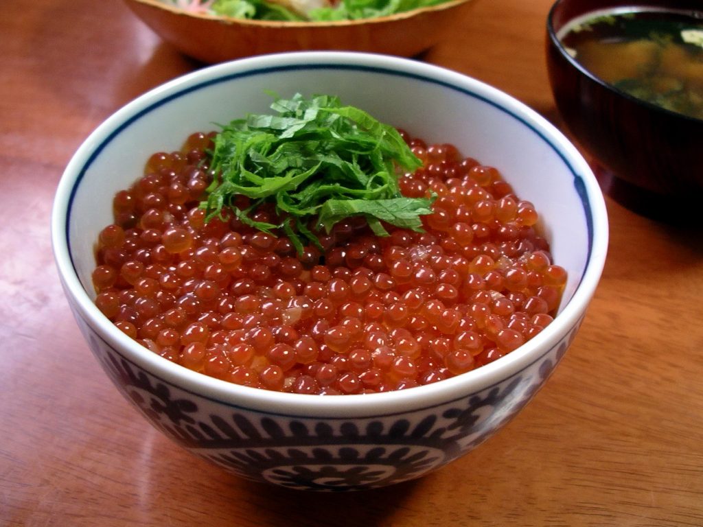 salmon roe fishing