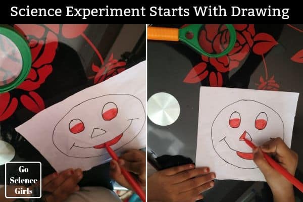 Science experiments begin with drawing