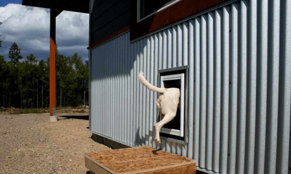 How to build a dog door