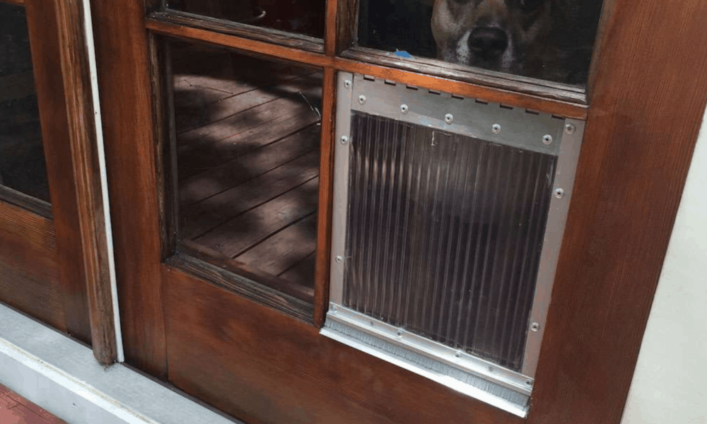 Do-it-yourself Dog Window for French Window Window