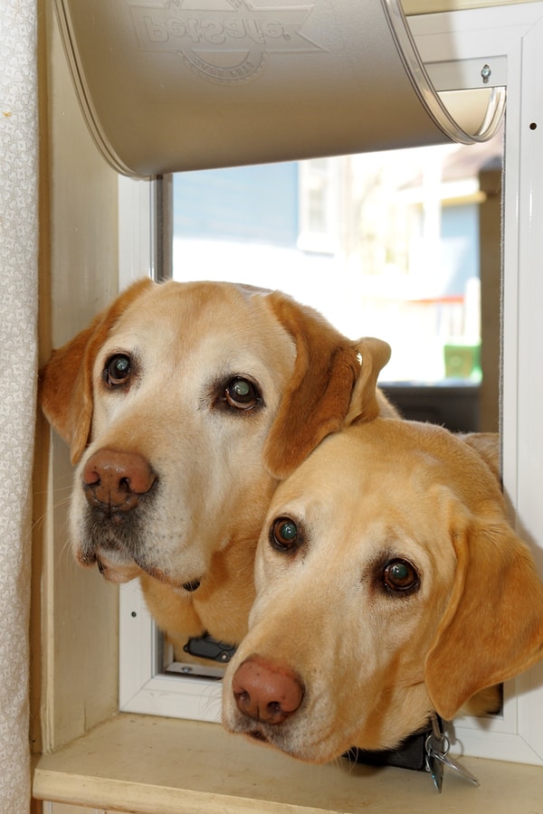 A homemade door for pets