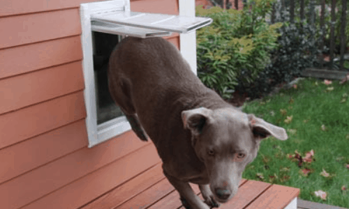 Install pet door