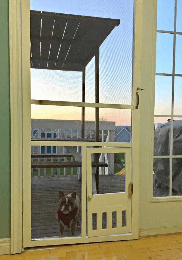 DIY pet door in mesh door