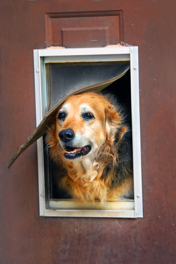 How to Make Your Own Doggie Door