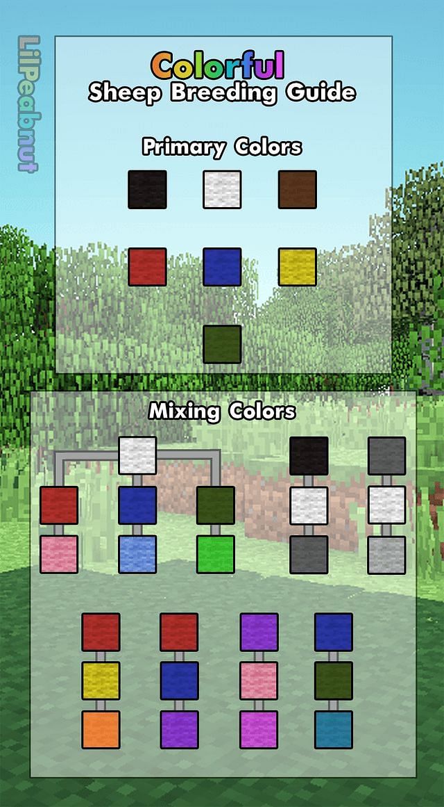 Sheep Coloring Guide (Image via Reddit)