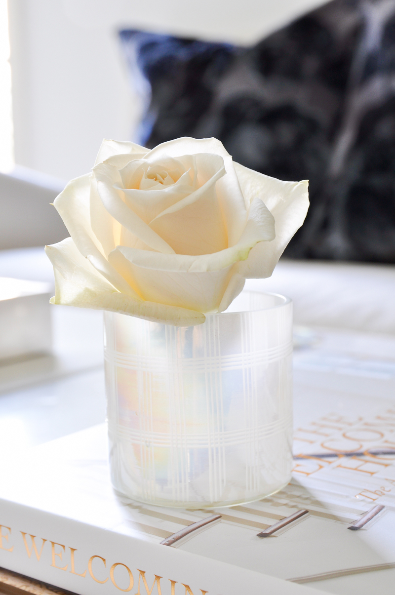 a white rose arranged in votive paper