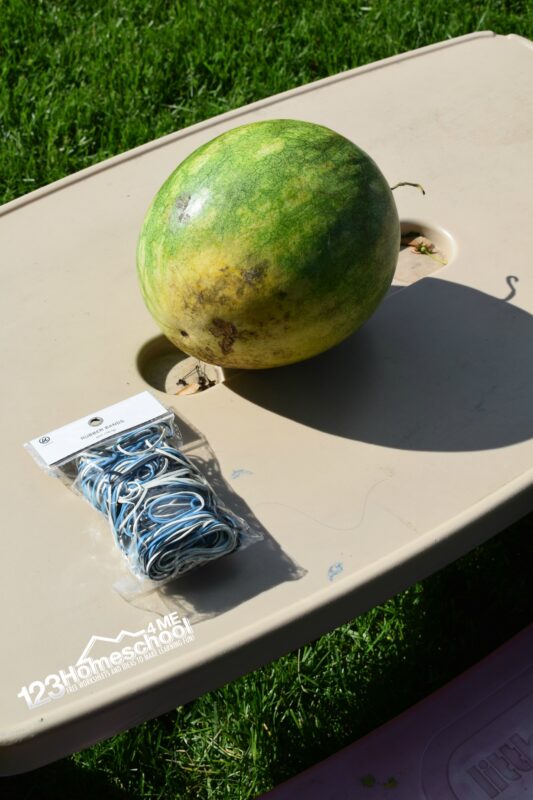 This amazing watermelon challenge is a must for your summer bucket list