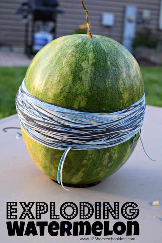 This watermelon rubber band activity is an epic science experiment for kids of all ages