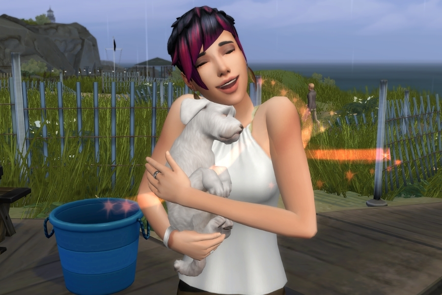 How To Adopt A Stray Dog Sims 4