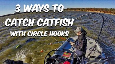 How To Catch Catfish With Circle Hooks