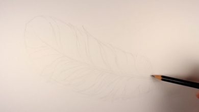 Drawing the smaller shapes of the feather