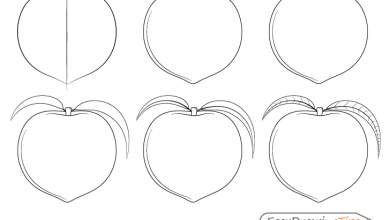 Peach drawing step by step