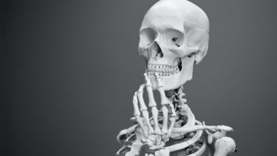 Skeleton hand